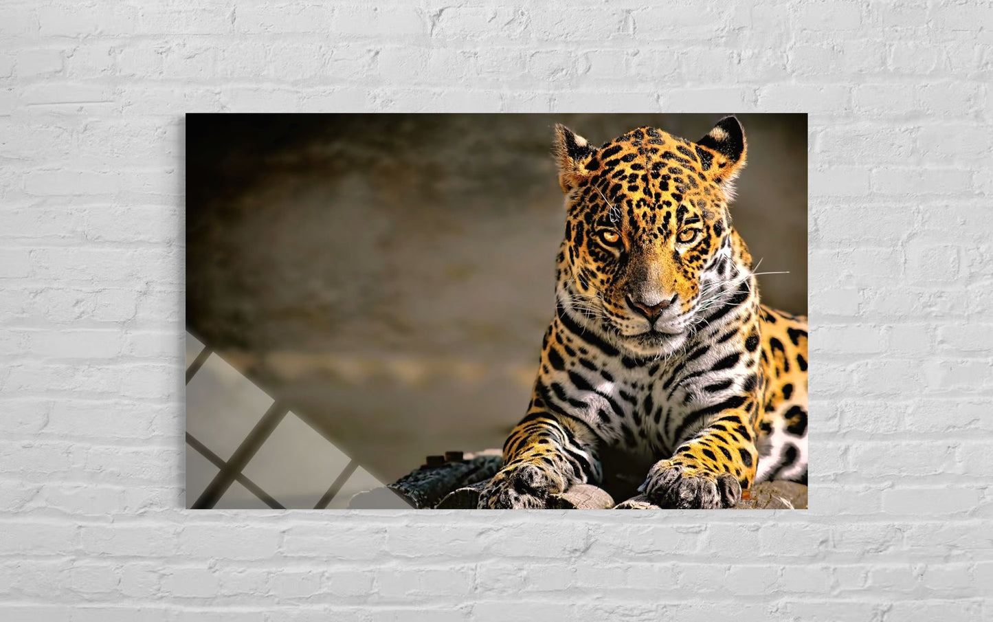Leopard Glass Wall Art – Spotted Wild Cat Premium Decor