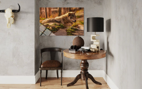Wolf Glass Wall Art – Lone Wolf Premium Wildlife Decor