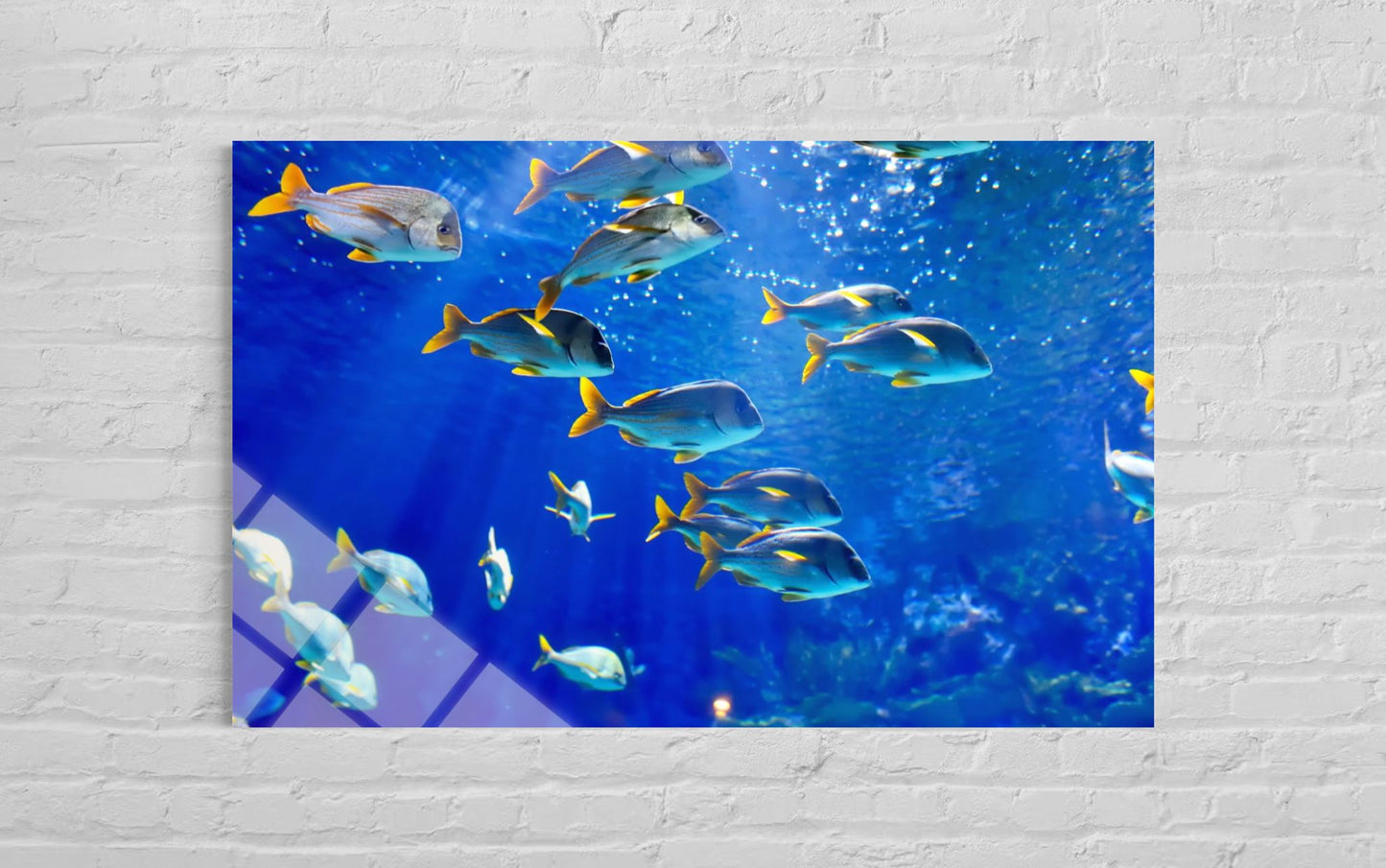 Fish Glass Wall Art – Vivid Aquatic Nature Home Decor