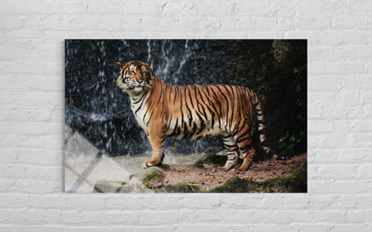 Tiger Tempered Glass Wall Art – Fierce Wildlife Home Decor