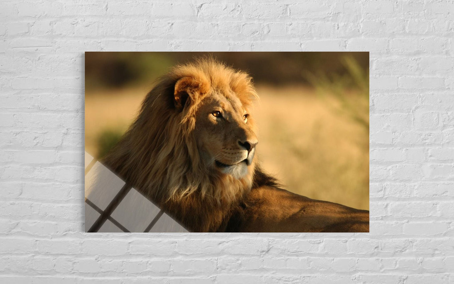 Lion Glass Wall Art – King of the Wild Premium Decor