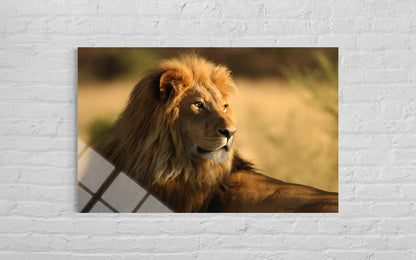 Lion Glass Wall Art – King of the Wild Premium Decor