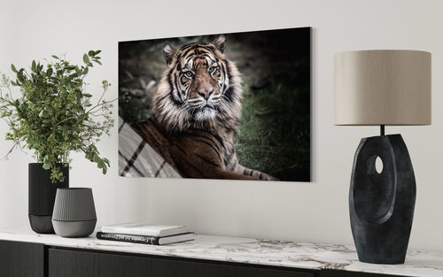 Tiger Wildlife Glass Wall Art – Bold Nature Home Decor