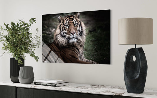 Tiger Wildlife Glass Wall Art – Bold Nature Home Decor