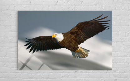 Eagle Glass Wall Art – Soaring Freedom Premium Decor