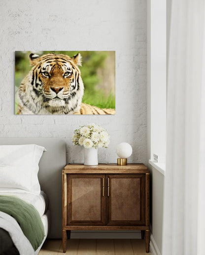 Tiger Glass Wall Art – Majestic Wild Cat Premium Decor
