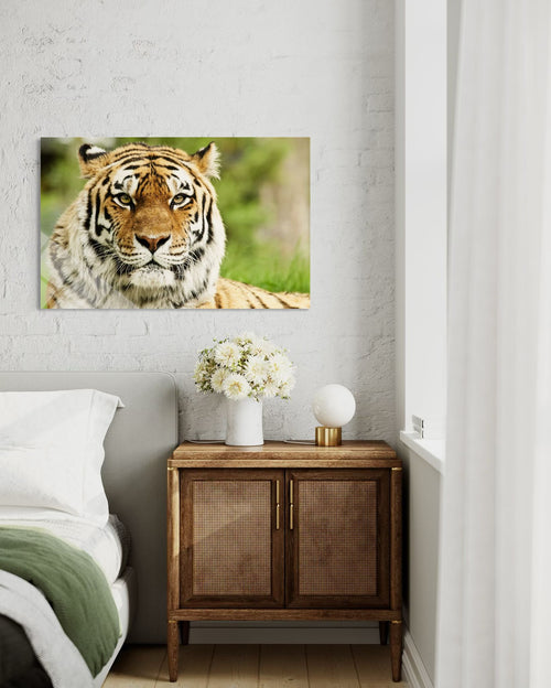 Tiger Glass Wall Art – Majestic Wild Cat Premium Decor