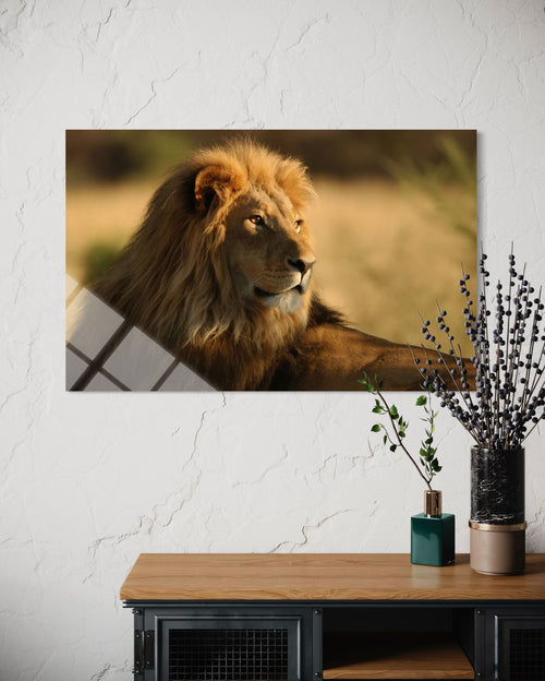 Lion Glass Wall Art – King of the Wild Premium Decor
