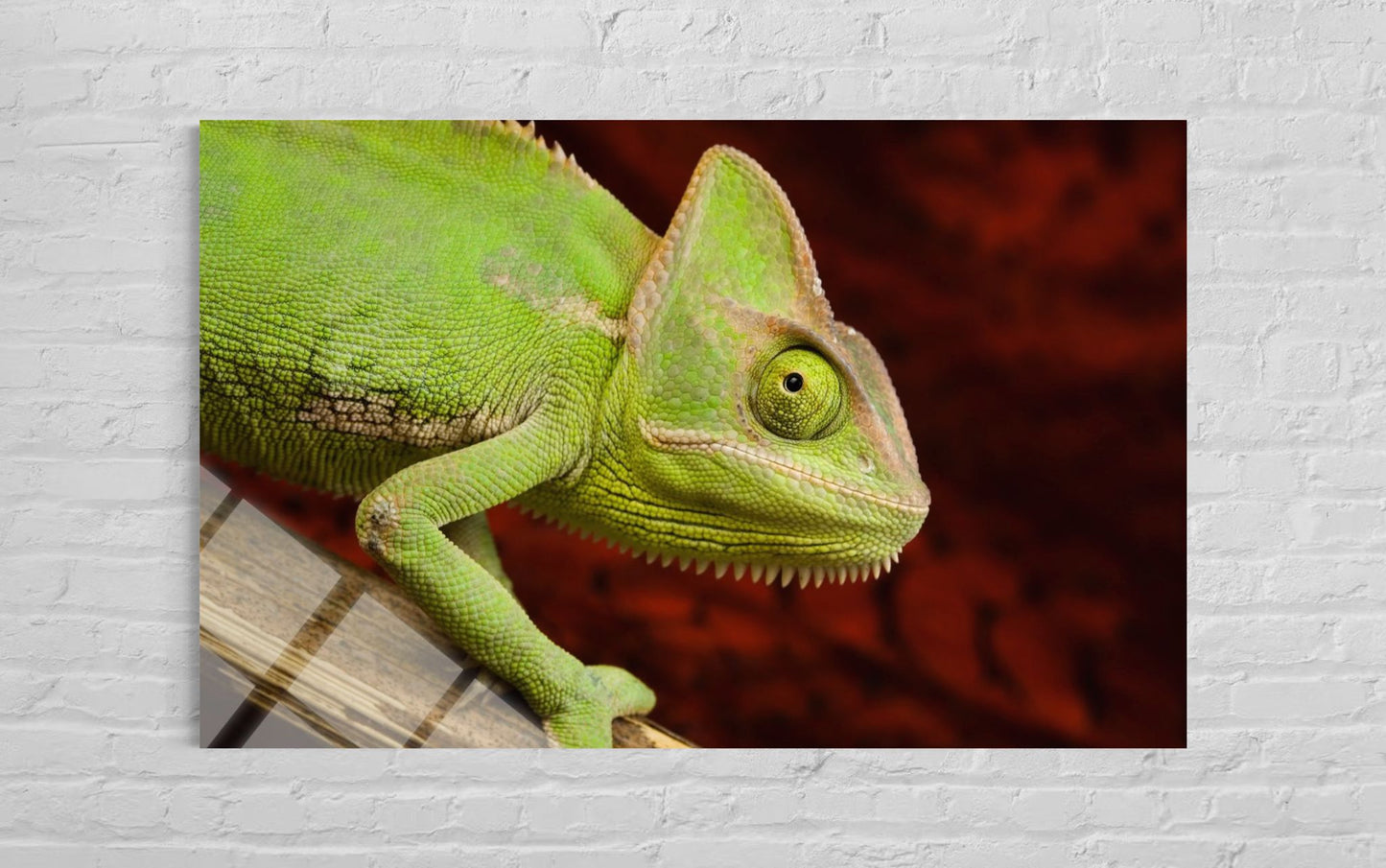 Chameleon Glass Wall Art – Exotic Wildlife Home Decor