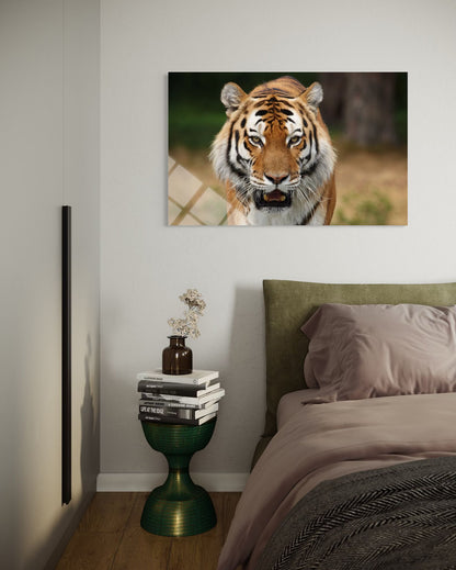 Tiger Glass Wall Art – Intense Wildlife Premium Home Decor