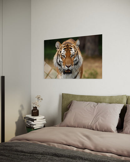 Tiger Glass Wall Art – Intense Wildlife Premium Home Decor