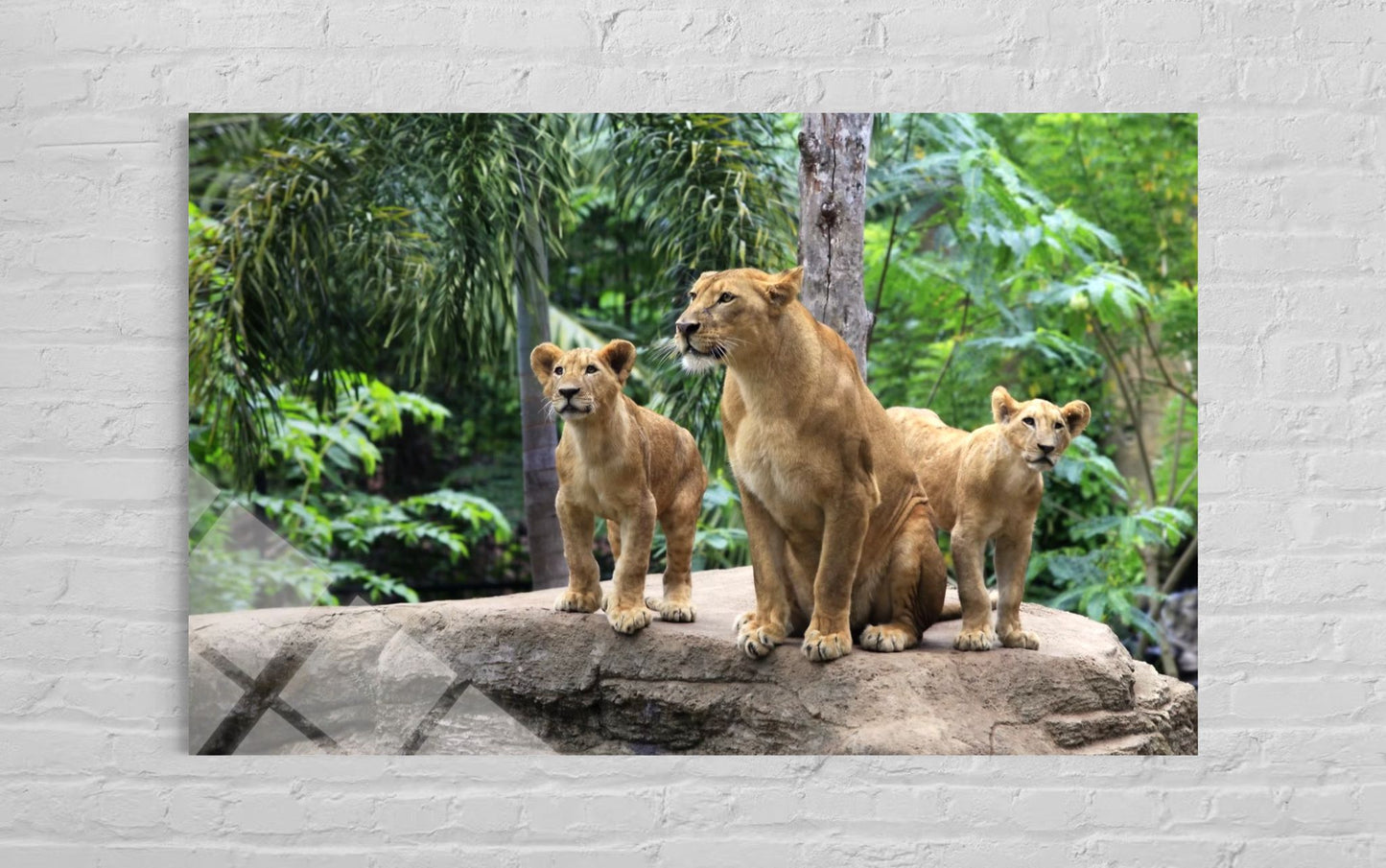 Lion Glass Wall Art – Fierce Pride Wildlife Home Decor