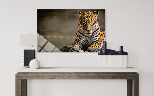 Leopard Glass Wall Art – Spotted Wild Cat Premium Decor