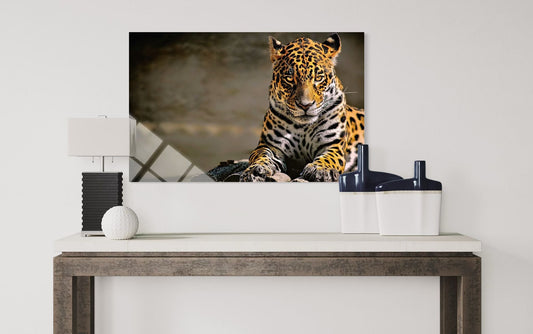 Leopard Glass Wall Art – Spotted Wild Cat Premium Decor