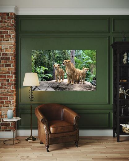 Lion Glass Wall Art – Fierce Pride Wildlife Home Decor