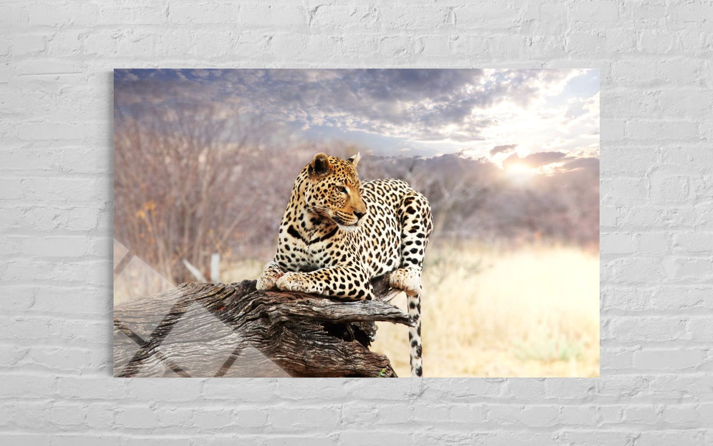 Leopard Glass Wall Art – Wild Luxury Wildlife Home Decor