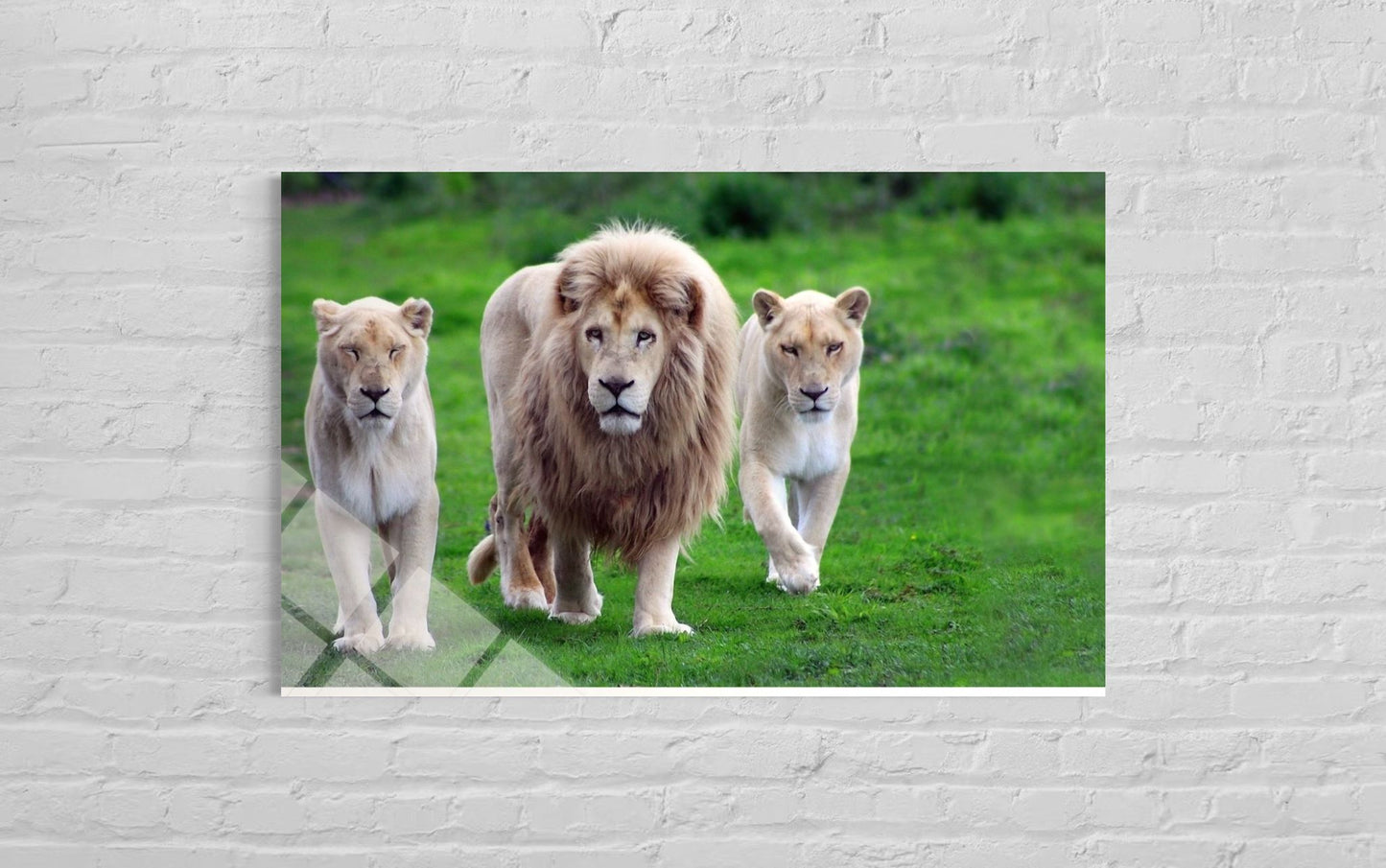 Lion Tempered Glass Wall Art – Majestic Strength Home Decor