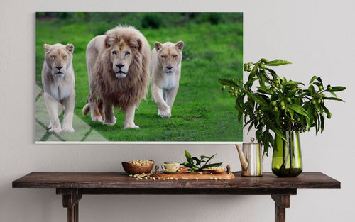 Lion Tempered Glass Wall Art – Majestic Strength Home Decor