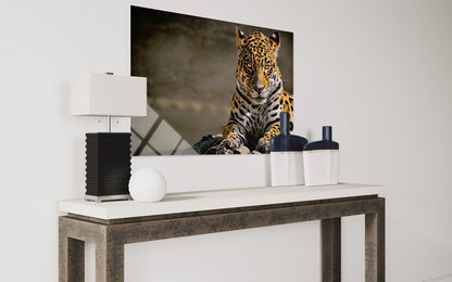 Leopard Glass Wall Art – Spotted Wild Cat Premium Decor