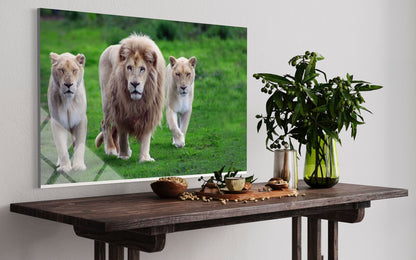 Lion Tempered Glass Wall Art – Majestic Strength Home Decor