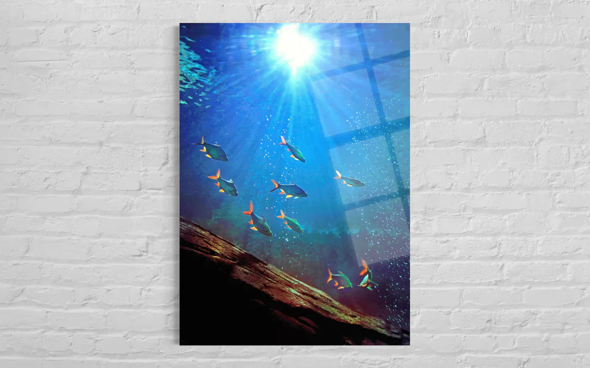 Tropical Fish Tempered Glass Wall Art – Aquatic Home Decor