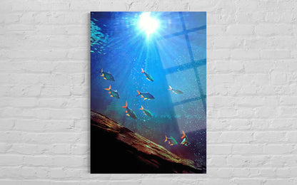 Tropical Fish Tempered Glass Wall Art – Aquatic Home Decor