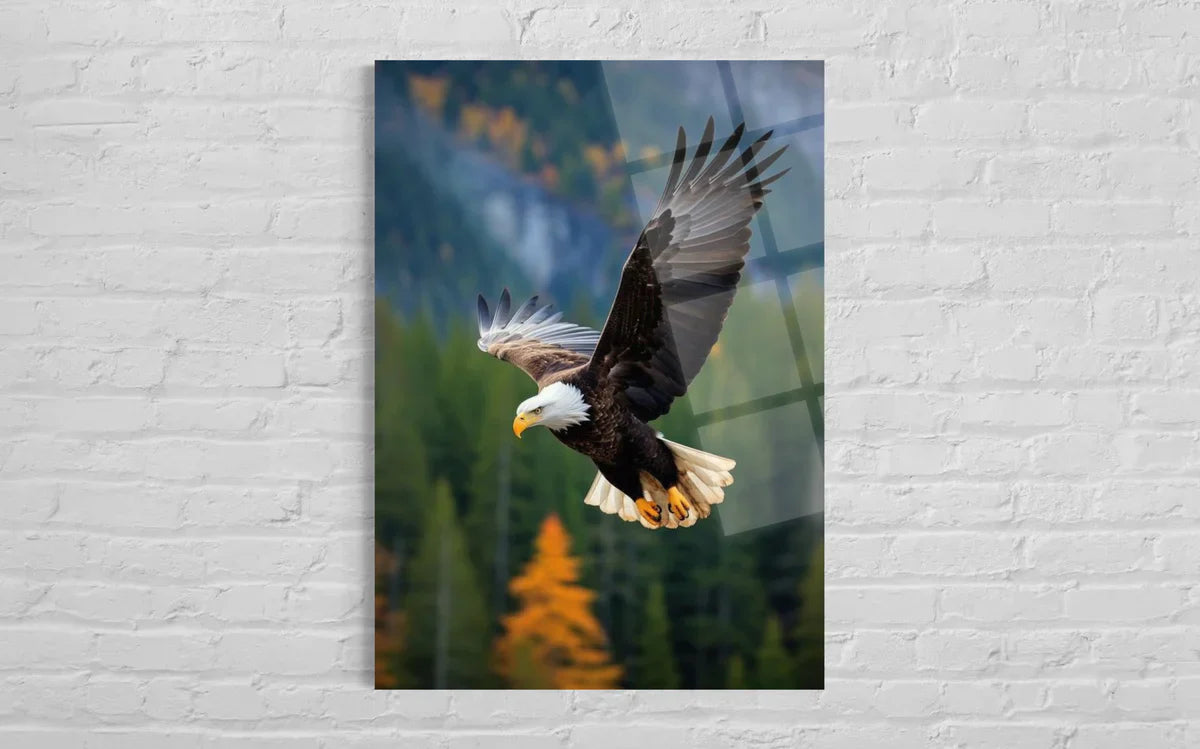 Eagle Tempered Glass Wall Art – Wildlife Premium Home Decor