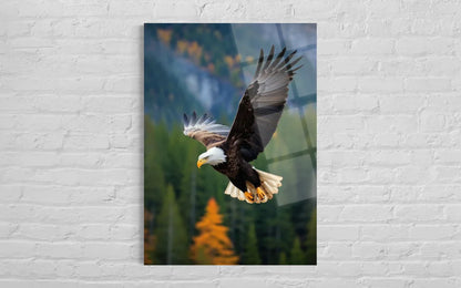 Eagle Tempered Glass Wall Art – Wildlife Premium Home Decor